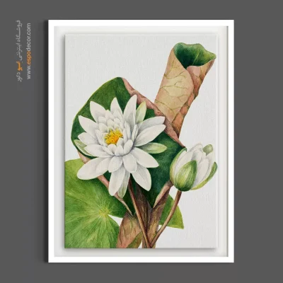 تابلو تم نئوکلاسیک - نیلوفر آبی آمریکایی – تابلو گل - اسپو دکور