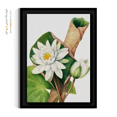 تابلو تم نئوکلاسیک - نیلوفر آبی آمریکایی – تابلو گل - اسپو دکور