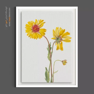 تابلو تم روستیک - گیلاردیا – تابلو گل - اسپو دکور