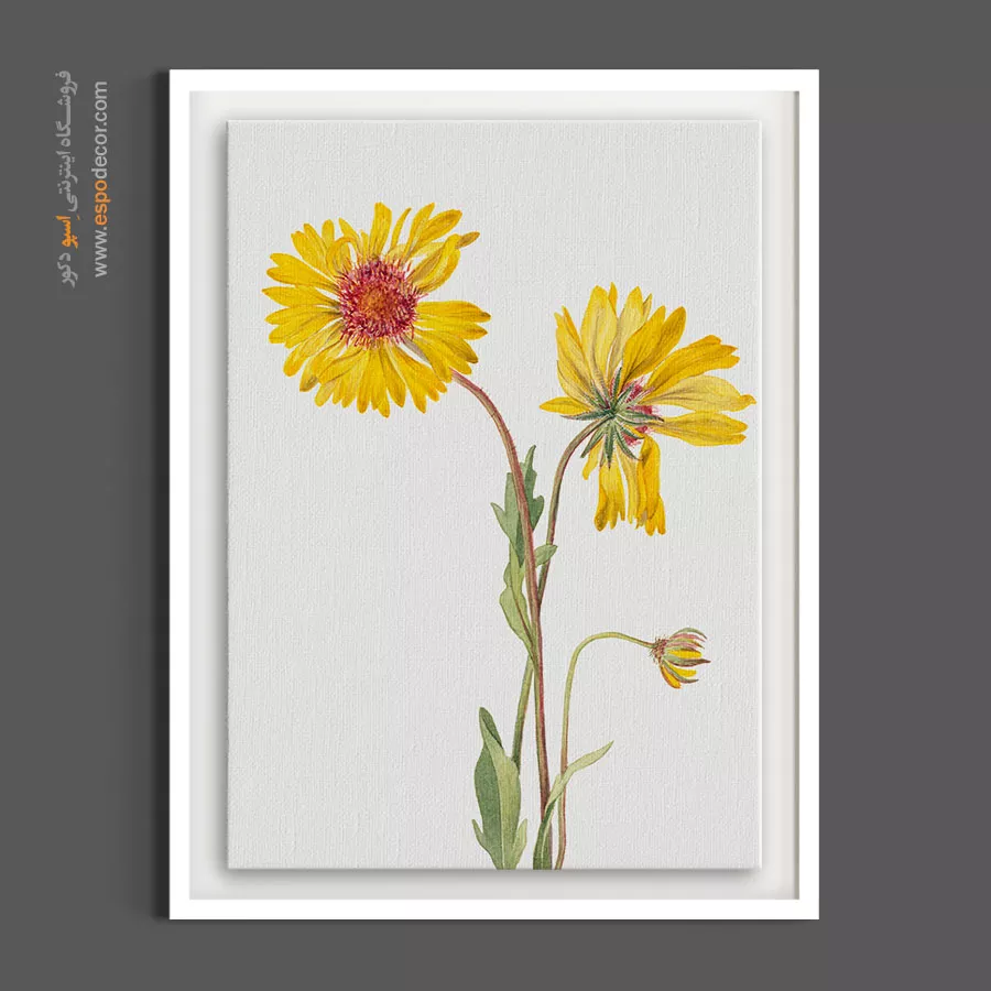 تابلو تم روستیک - گیلاردیا – تابلو گل - اسپو دکور