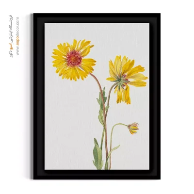 تابلو تم روستیک - گیلاردیا – تابلو گل - اسپو دکور