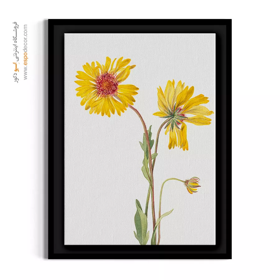 تابلو تم روستیک - گیلاردیا – تابلو گل - اسپو دکور