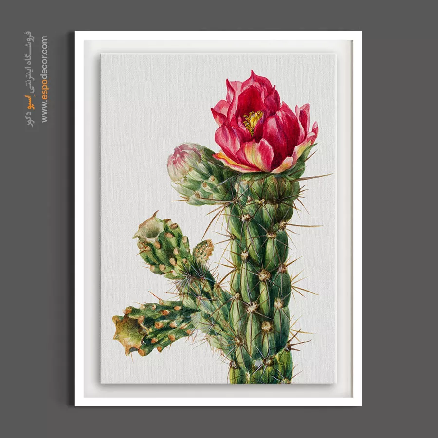 خرید تابلو نقاشی کاکتوس - چولا – تابلو گل - اسپو دکور
