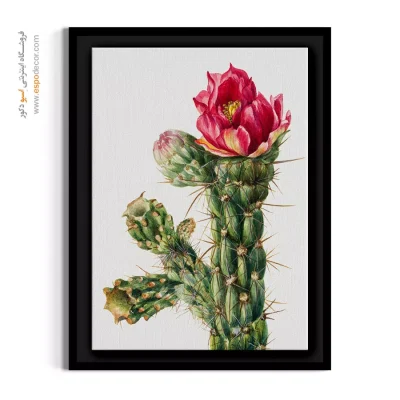 خرید تابلو نقاشی کاکتوس - چولا – تابلو گل - اسپو دکور