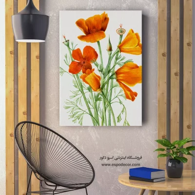 نقاشی طبیعت - کالیفرنیا پاپی – تابلو گل - اسپو دکور