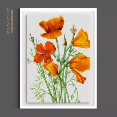 نقاشی طبیعت - کالیفرنیا پاپی – تابلو گل - اسپو دکور