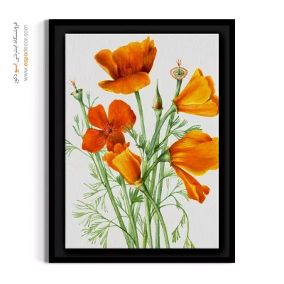 نقاشی طبیعت - کالیفرنیا پاپی – تابلو گل - اسپو دکور