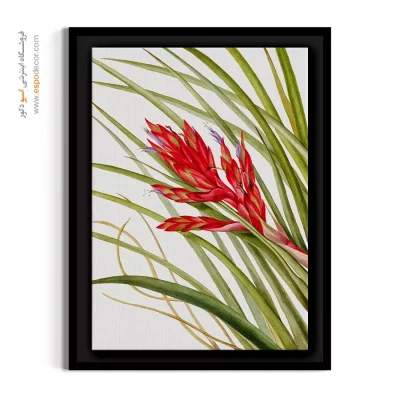 تابلو گل استوایی - تیلاندسیا – تابلو گل - اسپو دکور