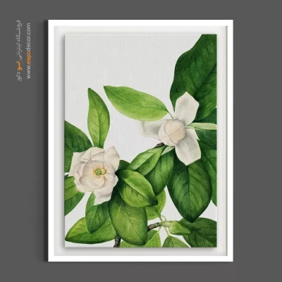 تابلو برای بالای کاناپه - ماگنولیا ویرجینیانا – تابلو گل - اسپو دکور