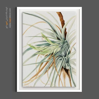 دکوراسیون مینیمال - تیلاندسیا – تابلو گل - اسپو دکور