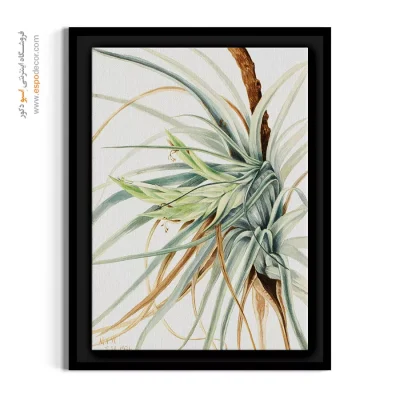 دکوراسیون مینیمال - تیلاندسیا – تابلو گل - اسپو دکور
