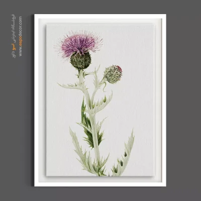 تابلو مطب طب سنتی - خار مریم – تابلو گل - اسپو دکور