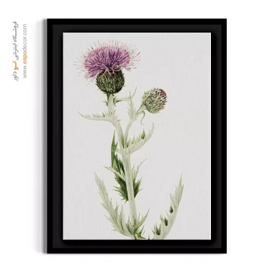 تابلو مطب طب سنتی - خار مریم – تابلو گل - اسپو دکور