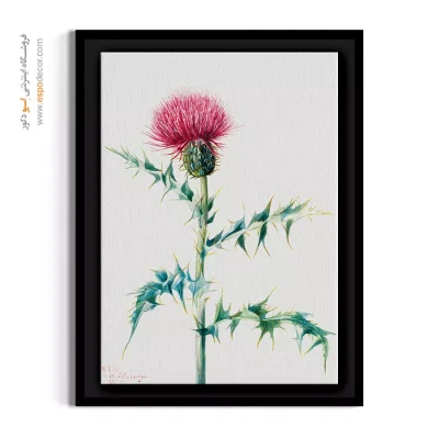 تابلو گل‌های وحشی آمریکا - خار آبی سیرسیوم – تابلو گل - اسپو دکور