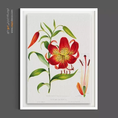 تابلو مناسب مراکز آموزشی - لیلیوم سوپربوم – تابلو گل - اسپو دکور