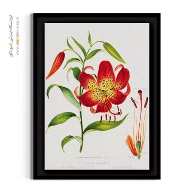 تابلو مناسب مراکز آموزشی - لیلیوم سوپربوم – تابلو گل - اسپو دکور