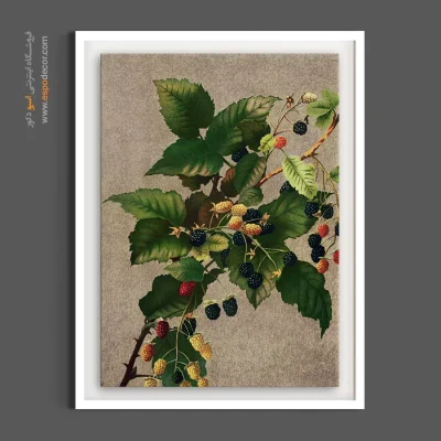 خرید تابلو تمشک وحشی - شاخه تمشک وحشی – تابلو گل - اسپو دکور