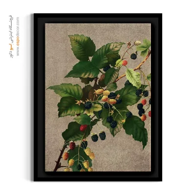 خرید تابلو تمشک وحشی - شاخه تمشک وحشی – تابلو گل - اسپو دکور