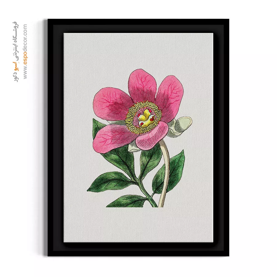 هنر گیاهی - شاخه گل صدتومانی صورتی – تابلو گل - اسپو دکور