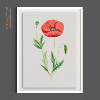 تابلو نقاشی ظریف - خشخاش قرمز – تابلو گل - اسپو دکور