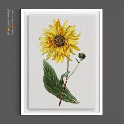تابلو دکور گرم و پاییزی - آفتابگردان وحشی و غنچه – تابلو گل - اسپو دکور