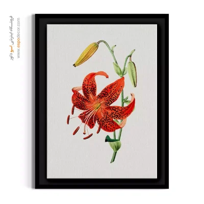 تابلو رنگ گرم - لیلیوم تایگر نارنجی – تابلو گل - اسپو دکور