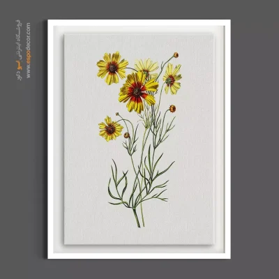 تابلو گل اشرفی - چشم پرندگان – تابلو گل - اسپو دکور