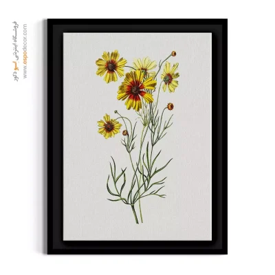 تابلو گل اشرفی - چشم پرندگان – تابلو گل - اسپو دکور