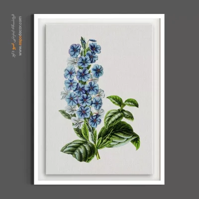 تابلو اتاق نوزاد - گل مریم آبی – تابلو گل - اسپو دکور