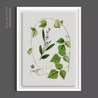 تابلو فضاهای آموزشی - گل ایکسی سفید و پیچک سبز – تابلو گل - اسپو دکور