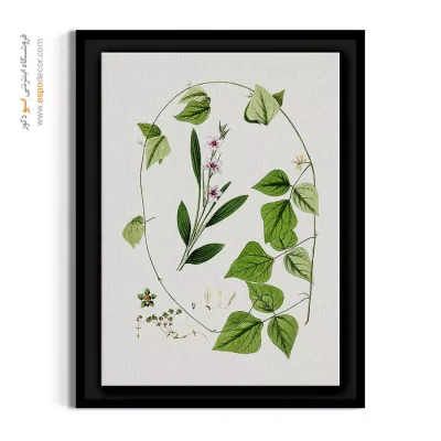 تابلو فضاهای آموزشی - گل ایکسی سفید و پیچک سبز – تابلو گل - اسپو دکور