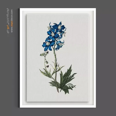 خرید تابلو لاجوردی - دلفینیوم آبی – تابلو گل - اسپو دکور