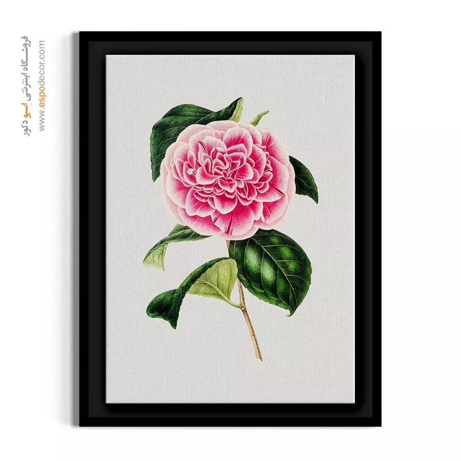 تابلو گل کاملیا ژاپنی - کاملیا صورتی پرچین – تابلو گل - اسپو دکور