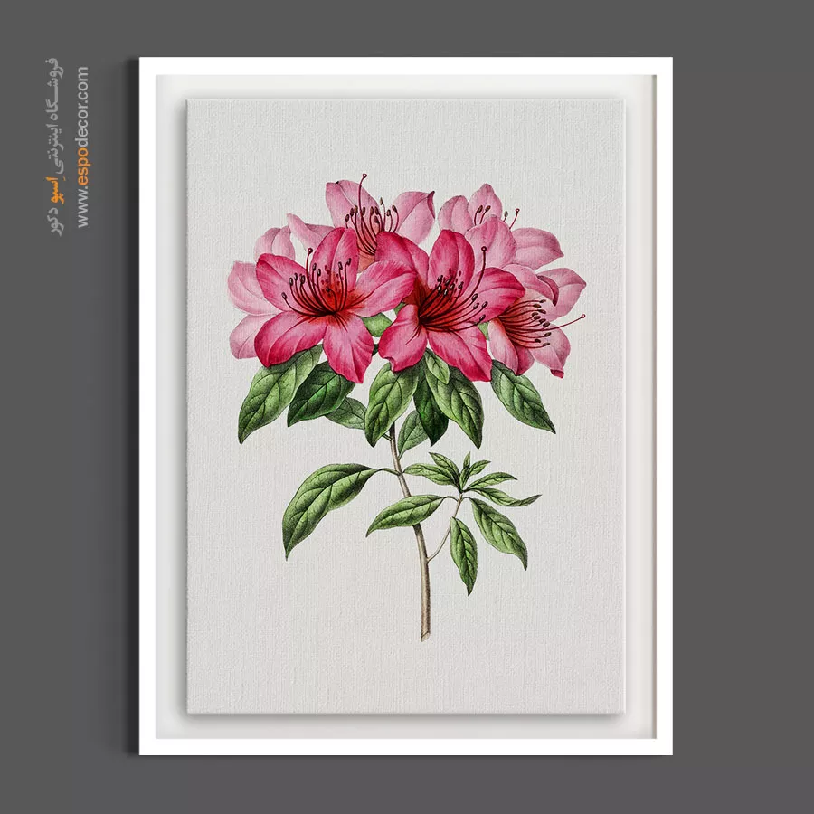 تابلو گل آزالیا - گل آزالیا – تابلو گل - اسپو دکور