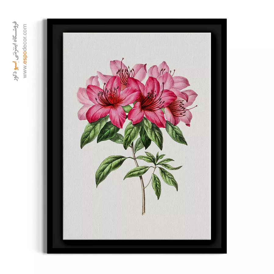 تابلو گل آزالیا - گل آزالیا – تابلو گل - اسپو دکور