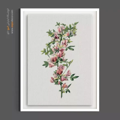 دکوراسیون رنگی - گل طاووسی بنفش – تابلو گل - اسپو دکور