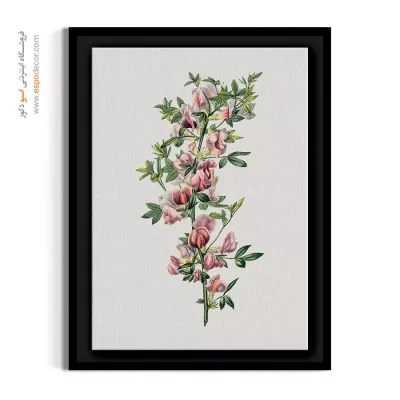 دکوراسیون رنگی - گل طاووسی بنفش – تابلو گل - اسپو دکور