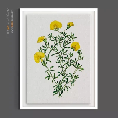تابلو دکوراسیون روشن - گومفولوبیوم  – تابلو گل - اسپو دکور