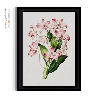 خرید تابلو بوم کلاسیک - دندروبیوم – تابلو گل - اسپو دکور