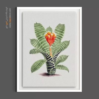 دکوراسیون دیواری مدرن - بروملیاد – تابلو گل - اسپو دکور