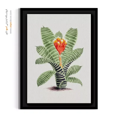 دکوراسیون دیواری مدرن - بروملیاد – تابلو گل - اسپو دکور