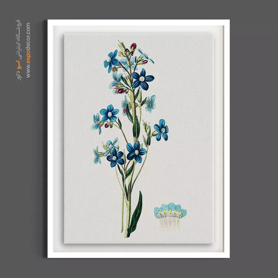 خرید هدیه هنری - گل فراموشم مکن – تابلو گل - اسپو دکور
