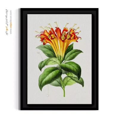 تابلو تصویرسازی هنری - گل تکوما نارنجی – تابلو گل - اسپو دکور