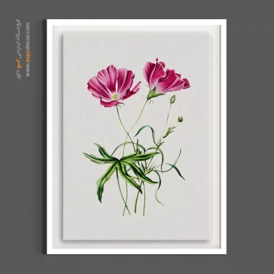 تابلو نقاشی گیاه‌شناسی - گل ختمی صورتی – تابلو گل - اسپو دکور