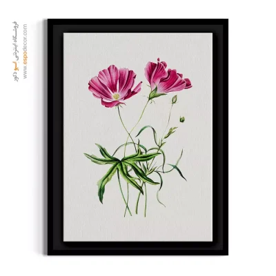 تابلو نقاشی گیاه‌شناسی - گل ختمی صورتی – تابلو گل - اسپو دکور