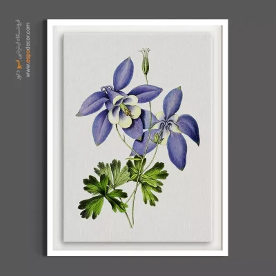 تابلو با تم طبیعت - کلمباین آبی – تابلو گل - اسپو دکور
