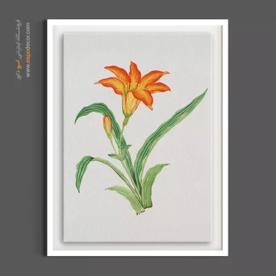 قیمت تابلو دکوراتیو - گل سوسن نارنجی – تابلو گل - اسپو دکور