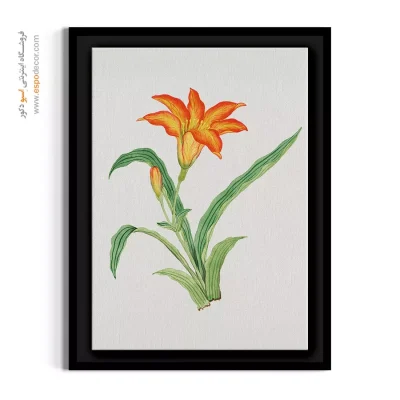 قیمت تابلو دکوراتیو - گل سوسن نارنجی – تابلو گل - اسپو دکور