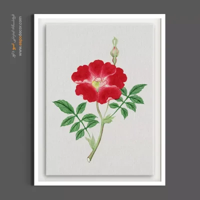 تابلو دکوراتیو لوکس - رز قرمز وحشی – تابلو گل - اسپو دکور