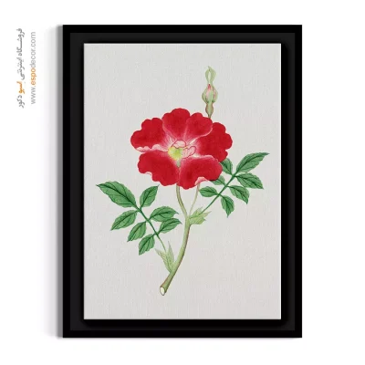 تابلو دکوراتیو لوکس - رز قرمز وحشی – تابلو گل - اسپو دکور